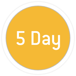 14 Day