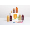 1 Day Beginner Cleanse