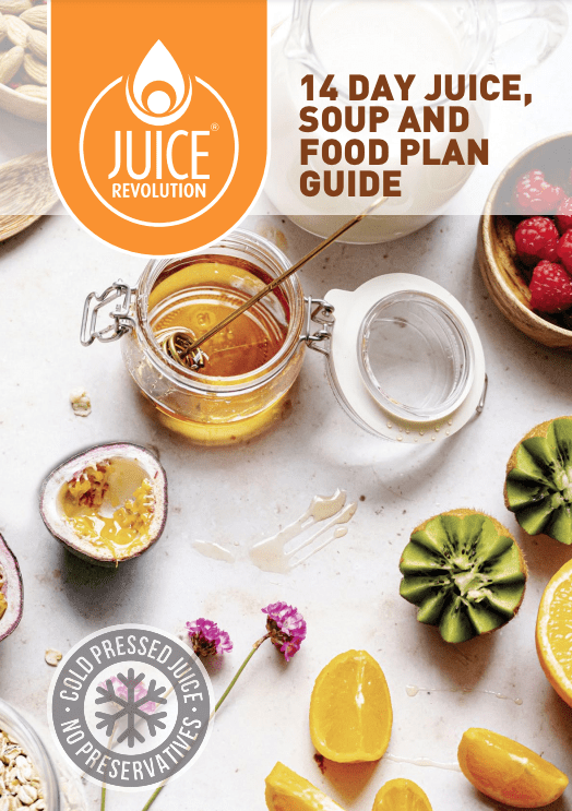 14 Day Juice, Soup and Food Plan Guide