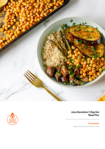 Gut Healing Meal Plan